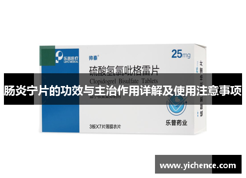 肠炎宁片的功效与主治作用详解及使用注意事项